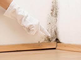 Best Real Estate Mold Inspection  in Ilchester, MD